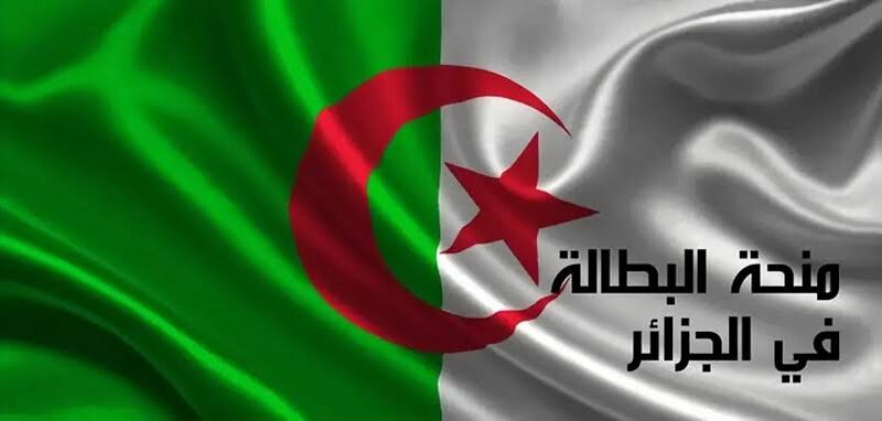 التسجيل اتفتح بضغط زر .. طريقة التسجيل في منحة البطالة 2025 في الجزائر خطوات بسيطة