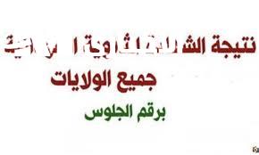 النتيجة نورت الشارع السوداني .. نتيجة الشهادة السودانية 2025 عرض فوري