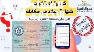 شهادة الميلاد الرقمية للأسر الحاضنة