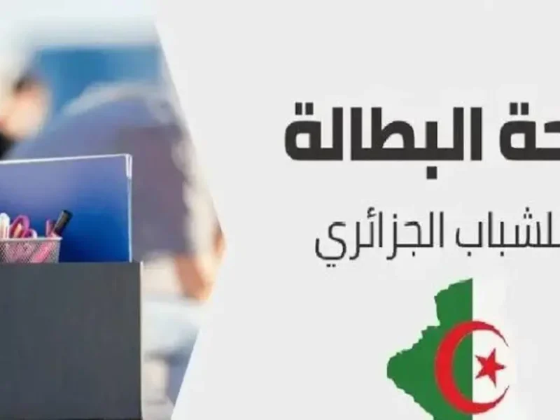 خطوة البطالة بدأت فعلًا .. طريقة التسجيل في منحة البطالة الجزائرية بخطوات بسيطة تسجيل سهل