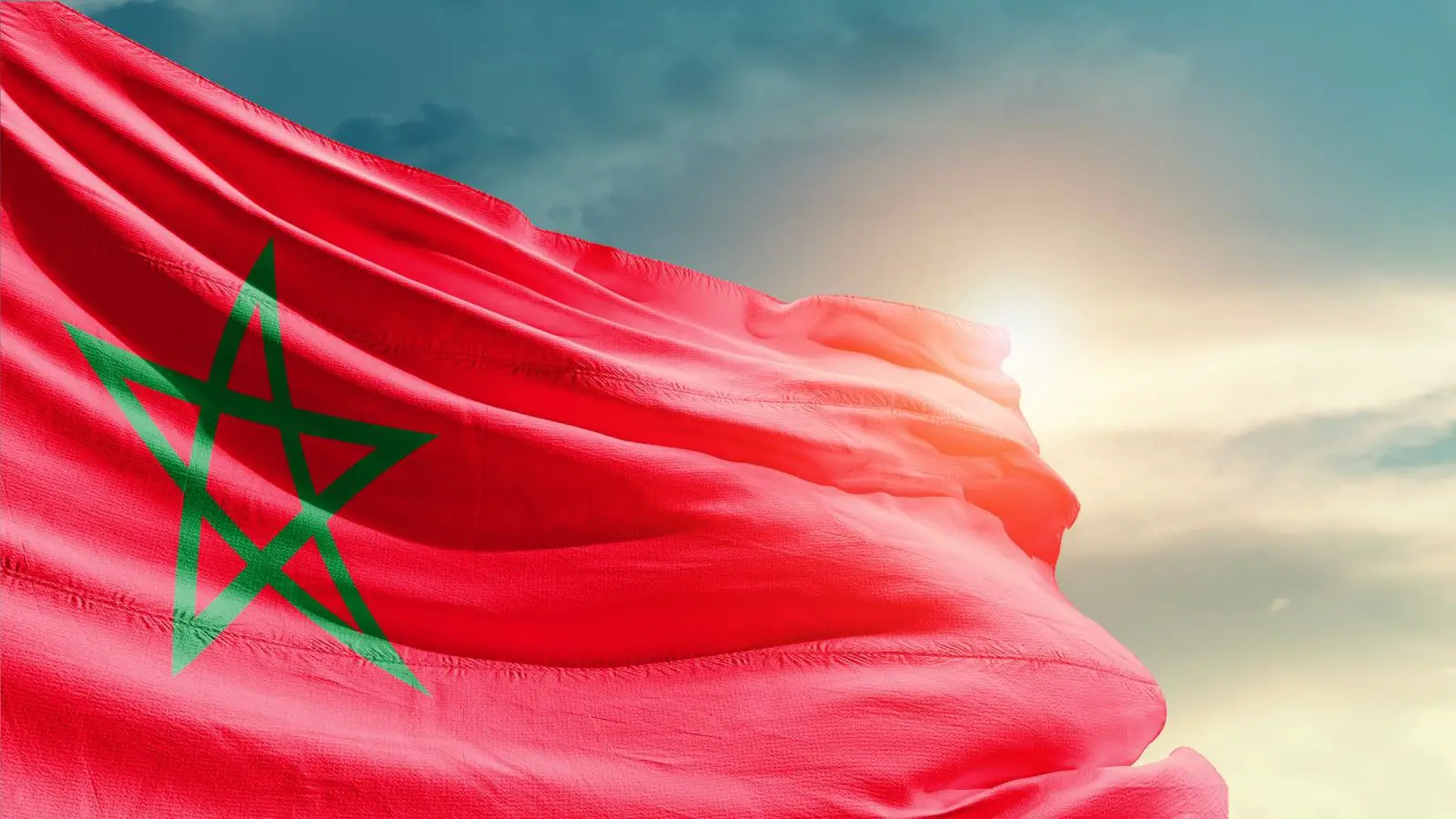 كنوبس الجديد
