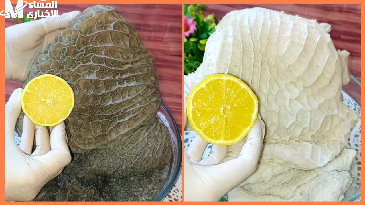 طريقة تنظيف الكرشة والممبار