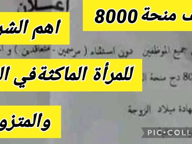 الفرصة الذهبية.. خطوات التسجيل في منحة 8000 دينار للطلبة العراقيين