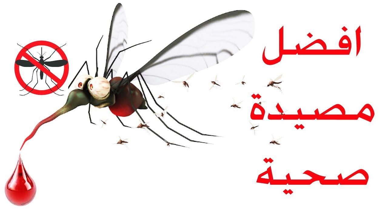 الناموس