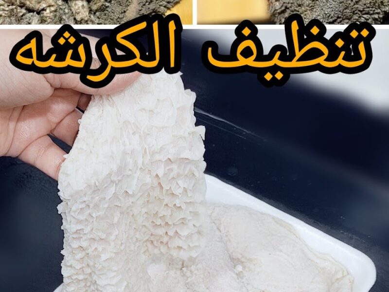 من غير تعب أو ريحة.. طريقة تنظيف الكرشة والممبار استخدمي هذه المكونات للتخلص من الرائحة نتيجة مضمونة