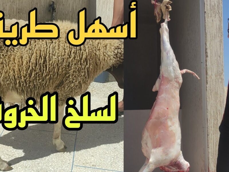 سلخ الخروف بقى سهل .. طريقة سلخ الخروف بخطوة بسيطة