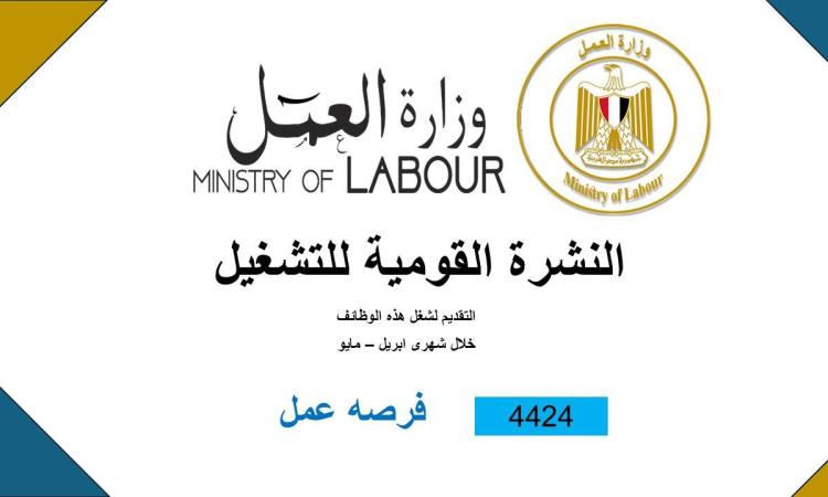 4424 فرصة عمل جديدة للشباب في 12 محافظة