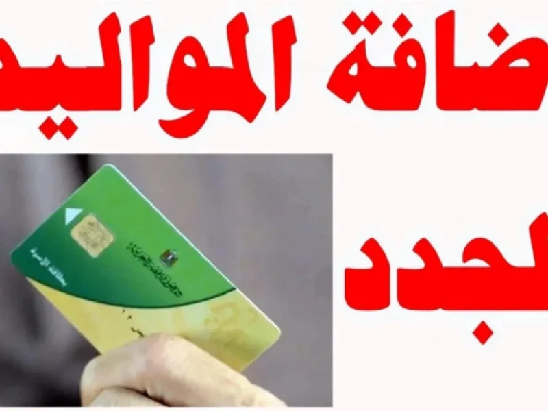 بطاقتك وصلت في إيدك.. طريقة استخراج بطاقة التموين أونلاين 2025 عبر digital.gov.eg في دقائق