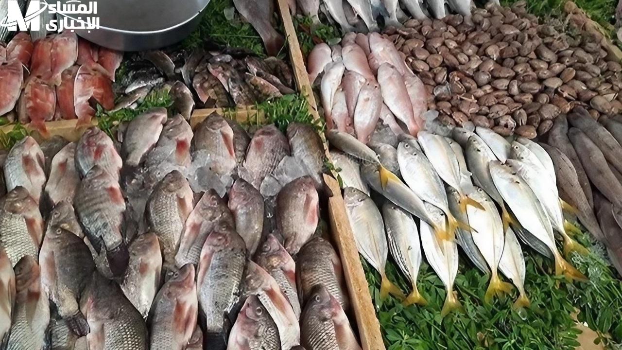 أسعار السمك اليوم البلطي والبوري