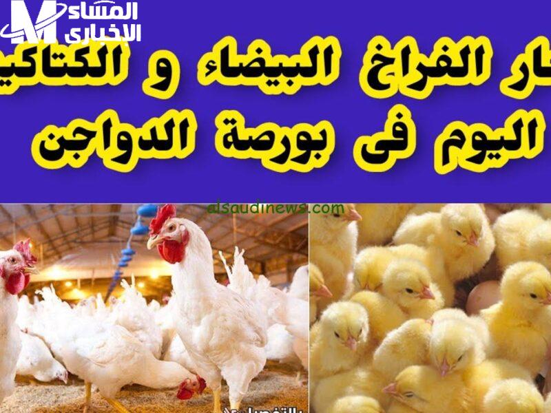 الفرخة قلبت الساحة .. تعرف علي سعر الكتكوت الأبيض والفراخ اليوم الاثنين 5/5/2025 في مصر حاليا