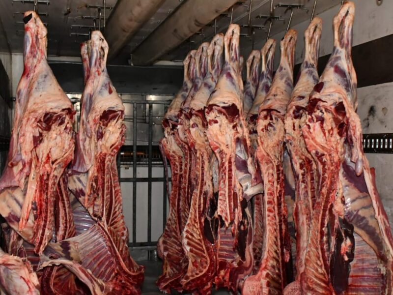 اللحمة دخلت الكادر بجد .. أسعار اللحوم البلدي 18/5/2025 نار شهية