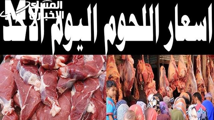 أسعار اللحوم الحمراء البلدي اليوم
