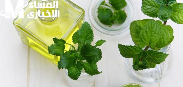 العرق بقى من الماضي.. طريقة عمل خلطة طبيعية لإزالة رائحة العرق وتفتيح منطقة الابطين في البيت انتعاش دائم