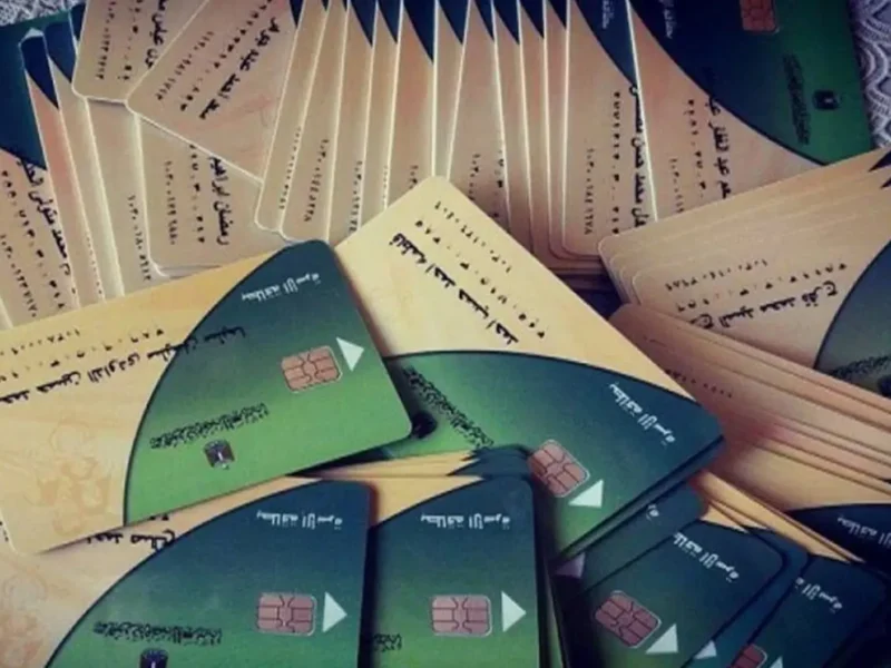 المواليد بقى ليهم تموين.. خطوات إضافة الأطفال 2025 بدون ورقة زيادة