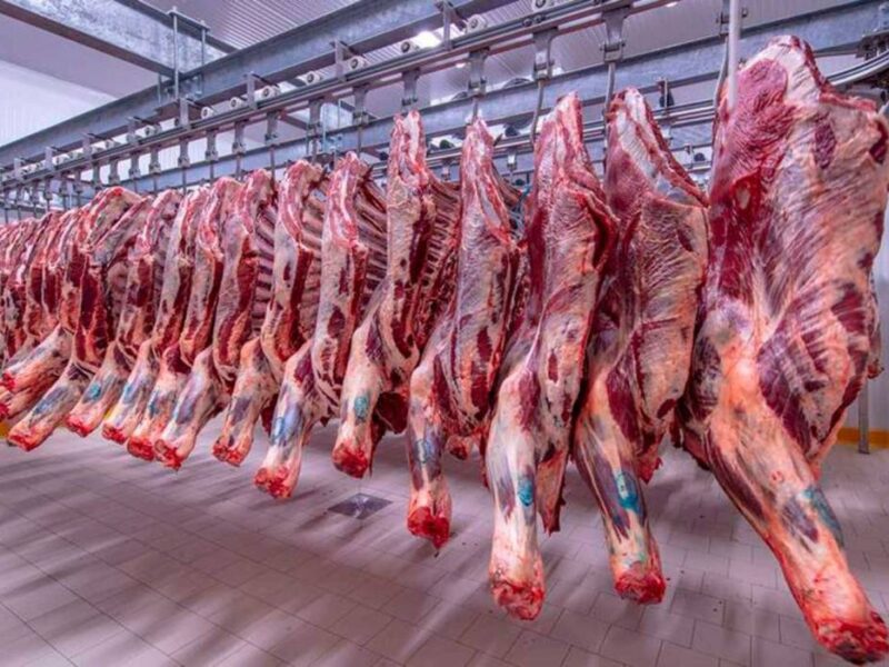 اللحمة قلبت موازين السوق.. أسعار اللحوم البلدي اليوم الثلاثاء 20/5/2025 استعداد للعيد