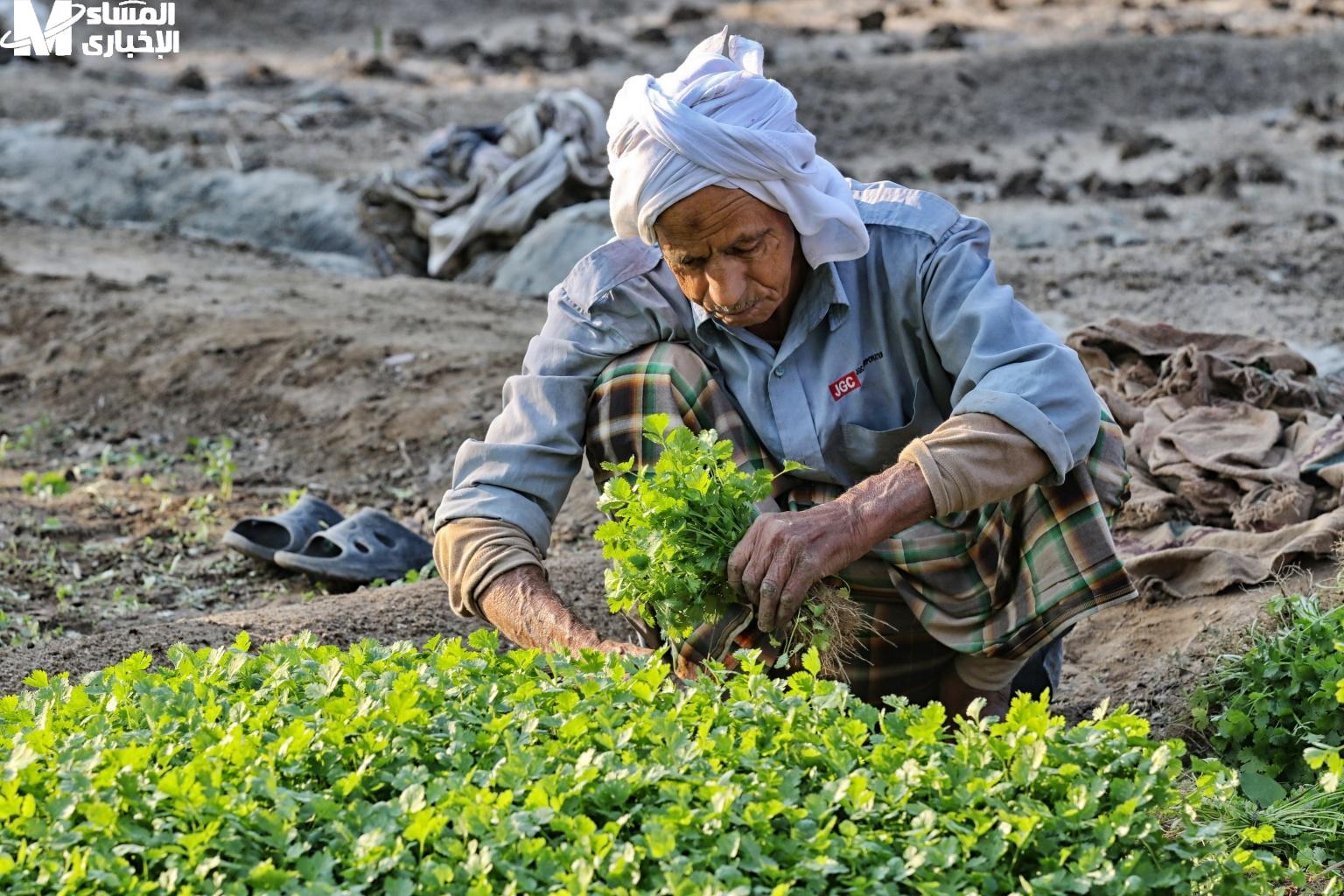 طريقة الحصول على بطاقة الفلاح في الجزائر