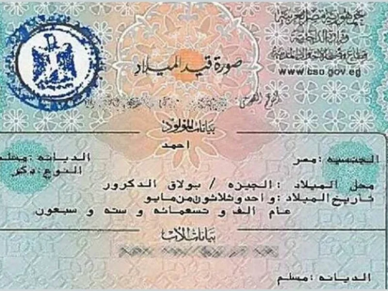 الورقة راحت وخلصت السيرة.. استخراج شهادة ميلاد الطفل للحاضنين بقى من الموبايل