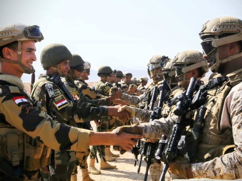 استدعاء الجيش بقى سهل جدًا .. خطوات الاستعلام الجديدة بدون أي مشاكل