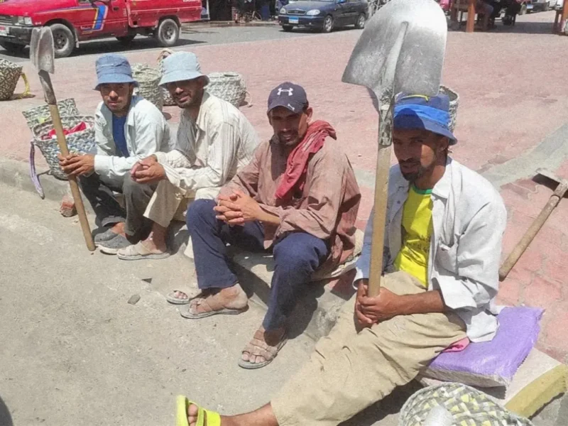 الدنيا بتسجل اسمك .. التسجيل في منحة العمالة غير المنتظمة 2025 مفتوح دلوقتي بفرصة ذهبية