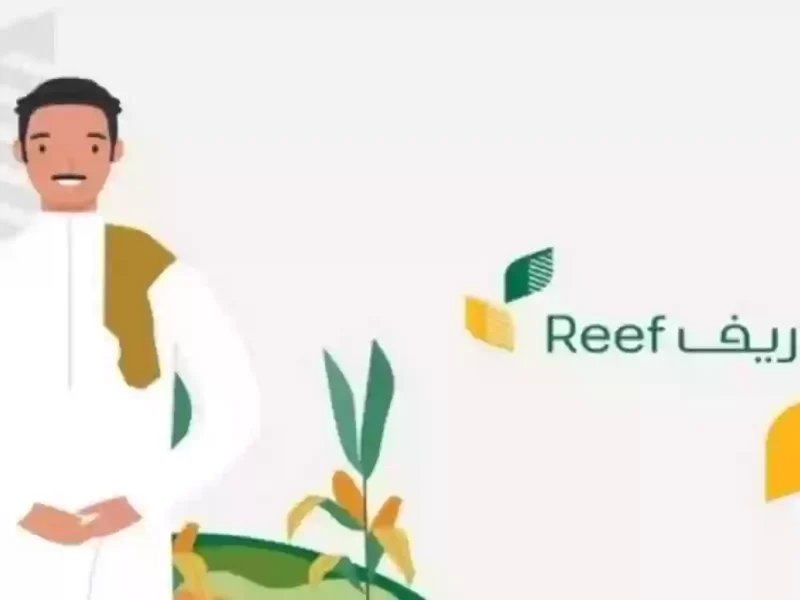 الدعم بقى على كشف الأهلية.. طريقة الاستعلام عن دعم ريف 2025 بخطوات رسمية وسريعة