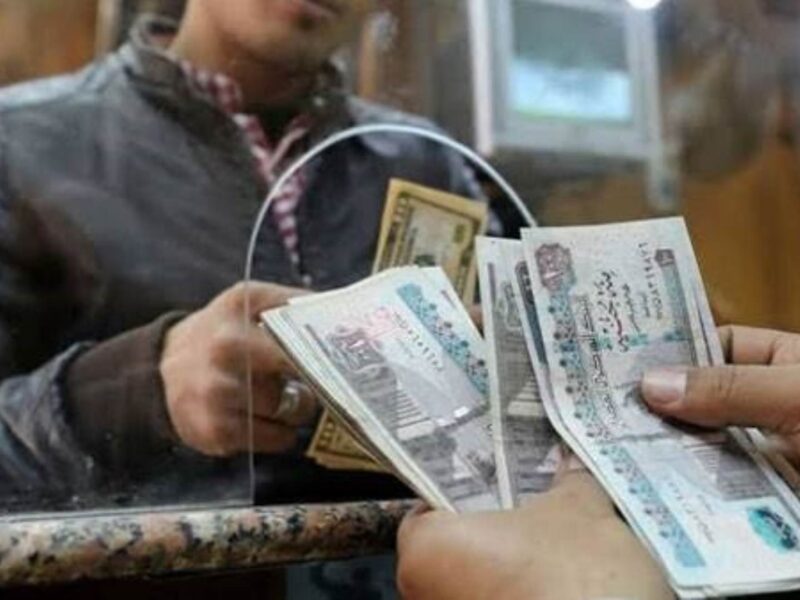 هيعانوا من المصاريف..التأمينات الاجتماعية تعلن وقف المعاش نهائيا عن 5 فئات في مصر