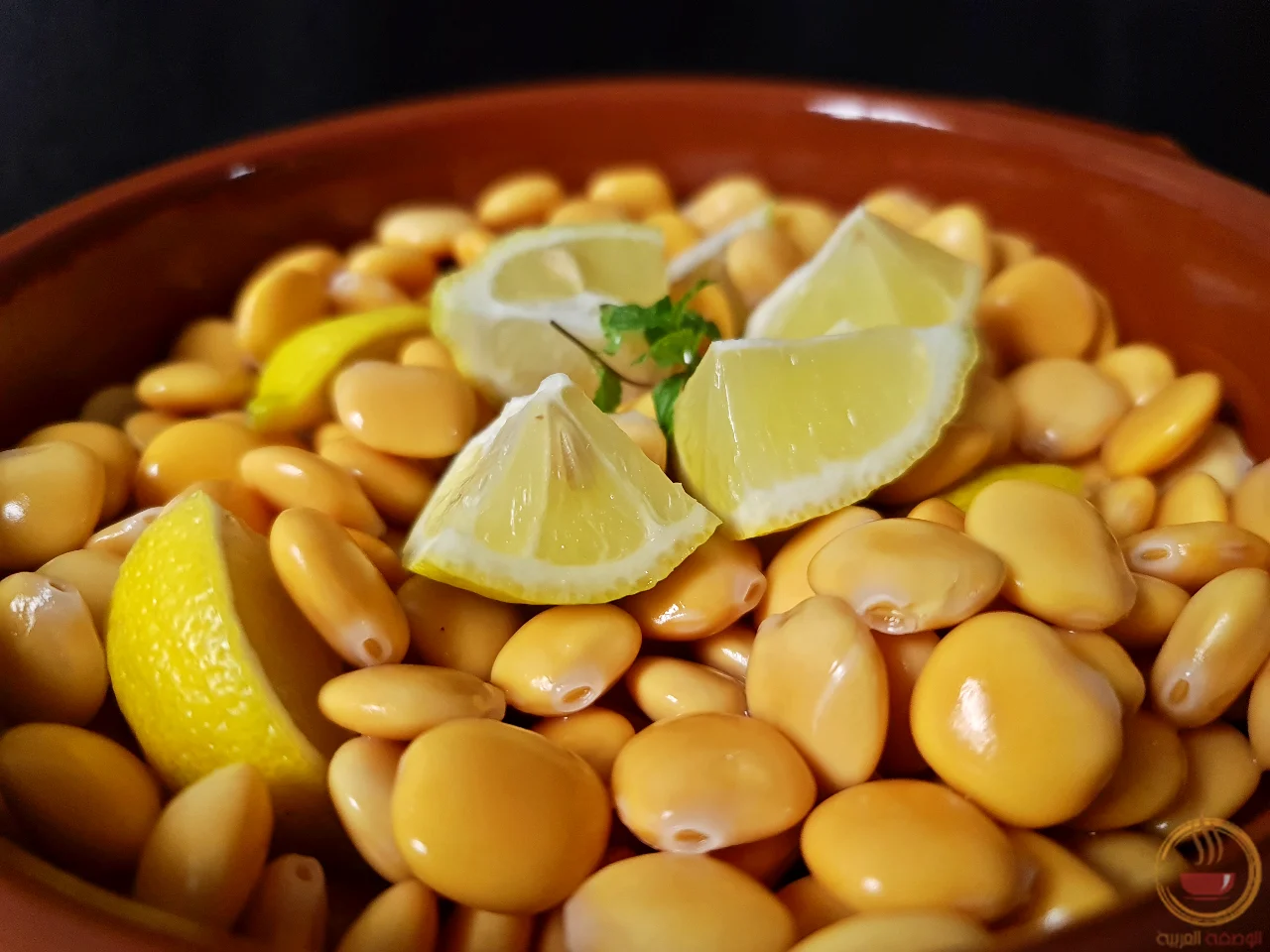 عمل الترمس
