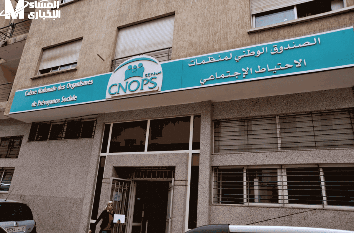 كنوبس