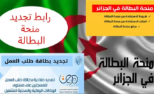 منحة البطالة الجزائر