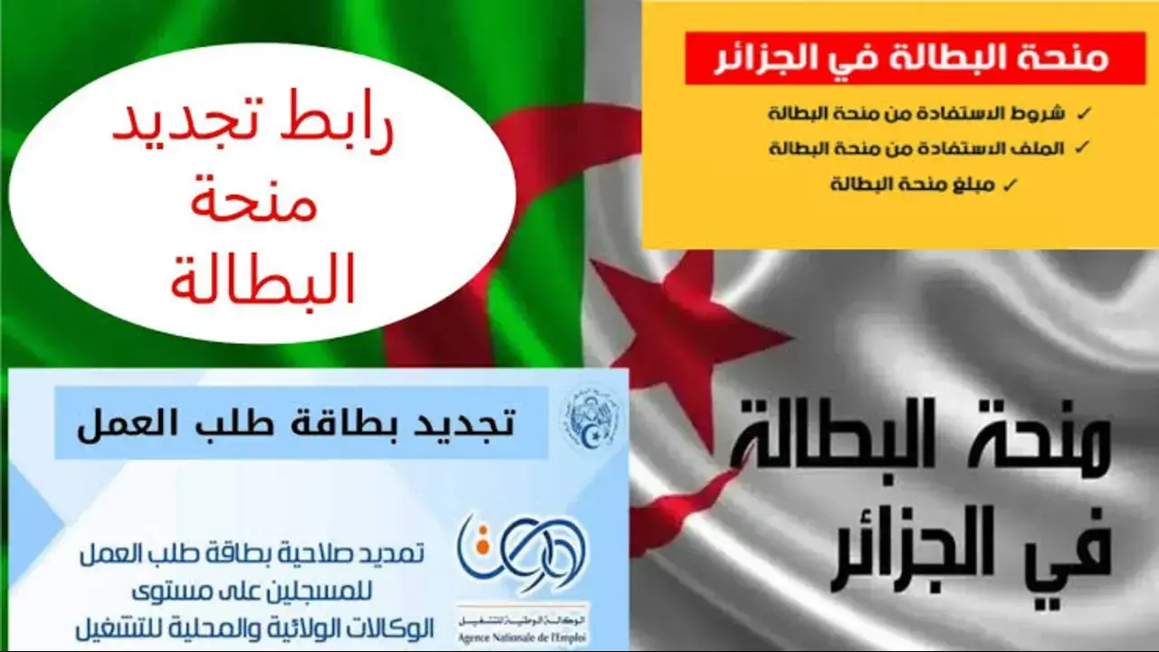منحة البطالة الجزائر