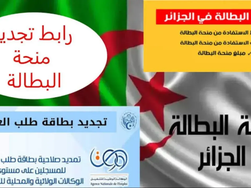 خطوتك الجاية هتغير كل شيء.. تجديد منحة البطالة الجزائرية 2025 قدم فورًا وخد فرصتك