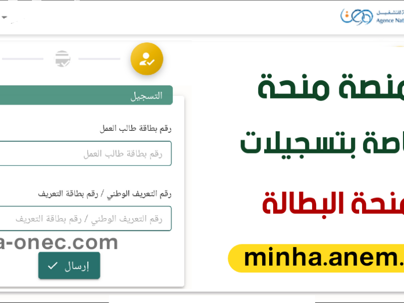 ما تفوتش فرصة تجديد منحة البطالة 2025 في الجزائر.. خطوات سهلة وشروط لازم تعرفها