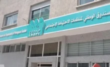 موقع كنوبس المغرب
