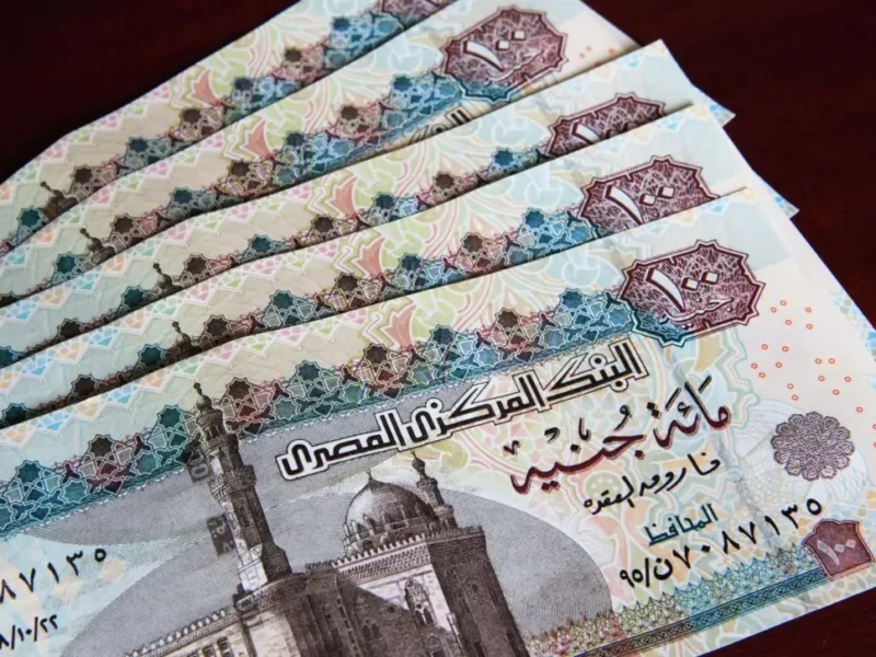 معاشك اتأكد خلاص .. الحكومة تُعلن جدول المعاشات 2025 وتزف خبر يطمن الكل