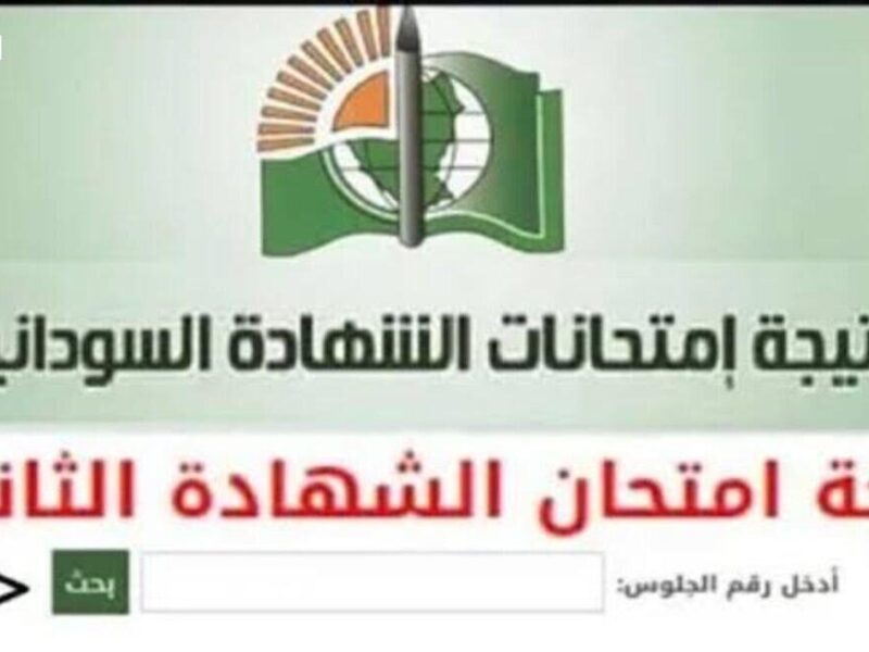 النتيجة خلاص قربت تطلع.. اعرف دلوقتي إزاى تجيب نتيجة الشهادة السودانية 2025 بخطوات سهلة ومضمونة