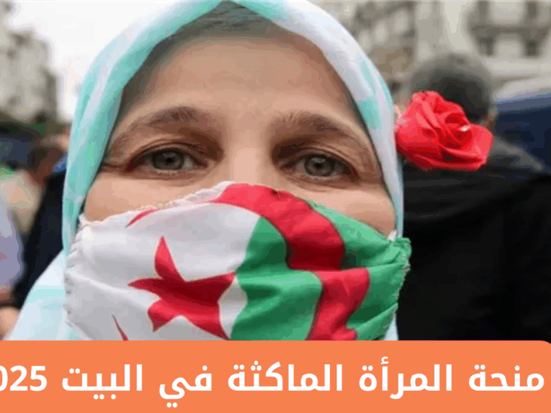 المنحة بتزغرد للعيلة.. المرأة الماكثة في الجزائر تسجيل مفتوح