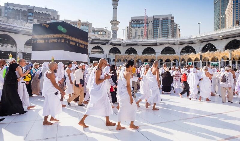 الرحلة الجاية من العمر .. باقات الحجاج الرئيسية 2025 تنظيم مبهر