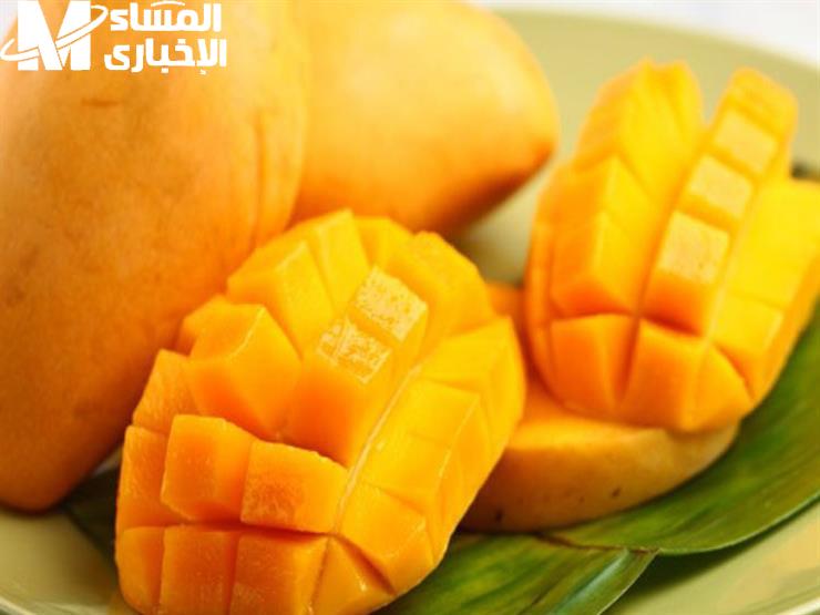 تخزين المانجو