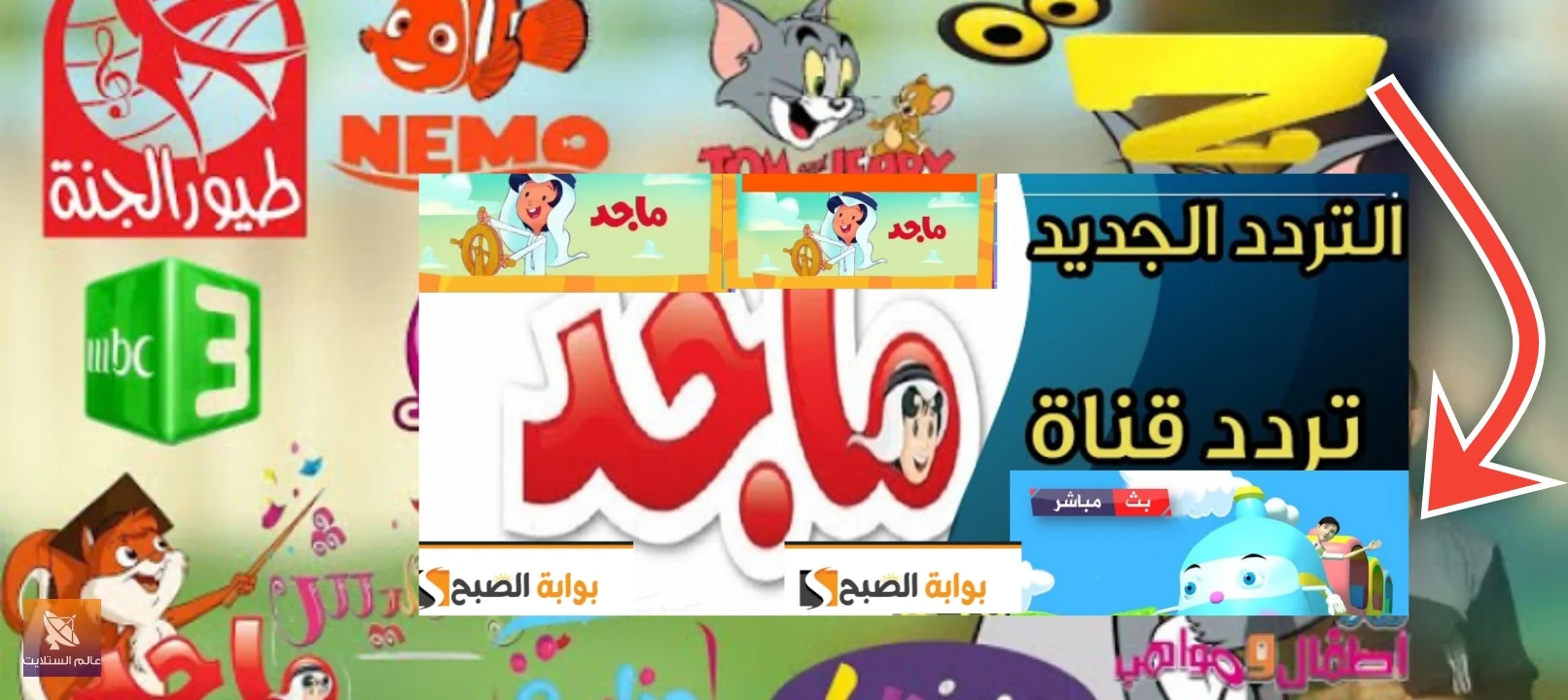 تردد ماجد 2025 أفلام بدون توقف