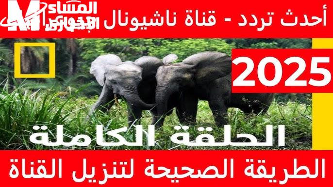 حياة الطبيعة قدامك في التلفزيون … تردد قناة ناشيونال جيوغرافيك الجديد 2025 وخطوات تثبيتها بسهولة