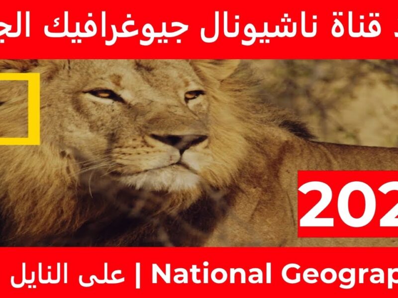 عيش الحياة البرية … تعرف على تردد قناة ناشيونال جيوغرافيك الجديد وأهم مميزاتها