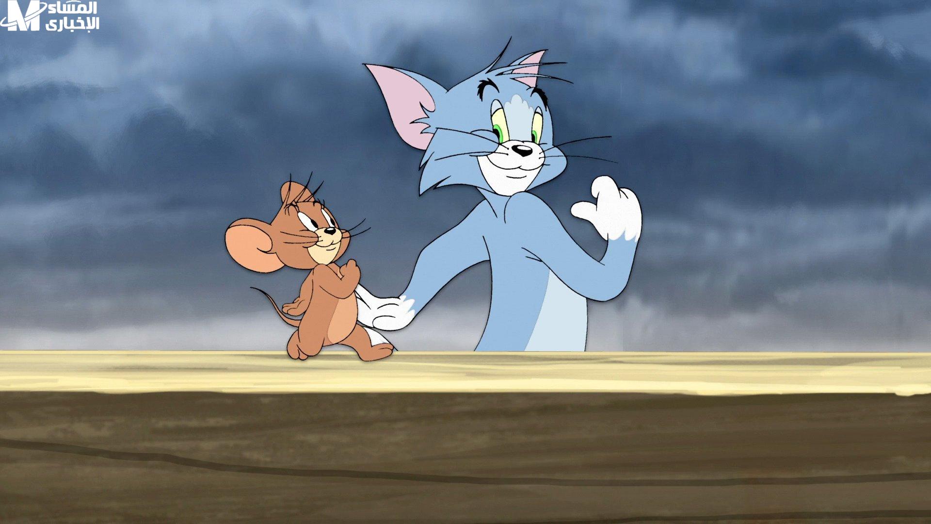 CN بالعربية