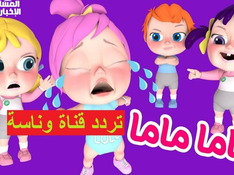 برامج وناسة شغالة يوميًا .. البرامج شغالة طول اليوم والضحك مالي الشاشة محتوى مذهل