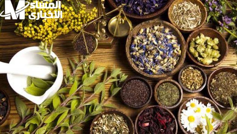سر الطبيعة المدفون…عشبة منزلية تعيد الذاكرة وتحول العجائز إلى شباب في وقت قصير
