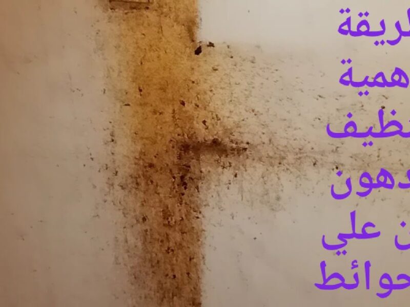 الدهون طارت من الجدران.. طريقة تنظيف جدران المطبخ من الدهون بلمسة سريعة