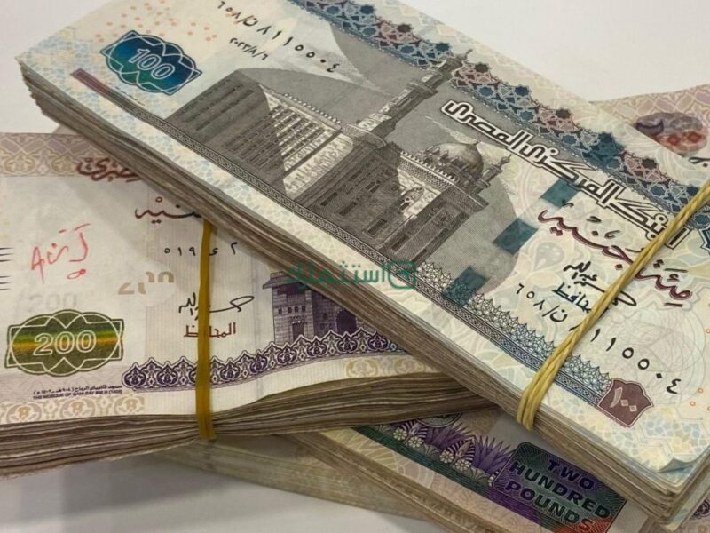 المرتب مش زي كل مرة.. جدول مرتبات مصر 2025 غير اللعبة كلها