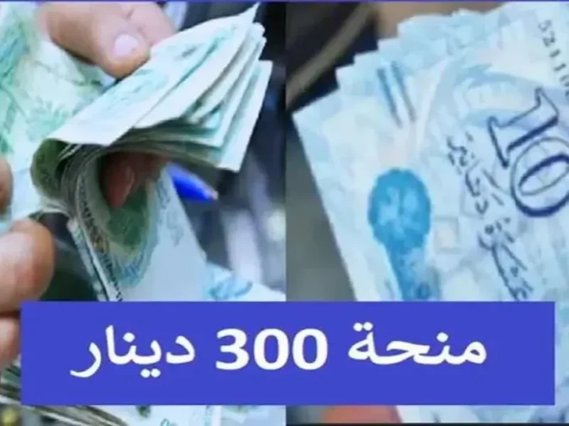 التسجيل شغّال من جديد دلوقتي.. وزارة الشئون توضح منحة تونس للأسر المستحقة 2025 إعلان رسمي