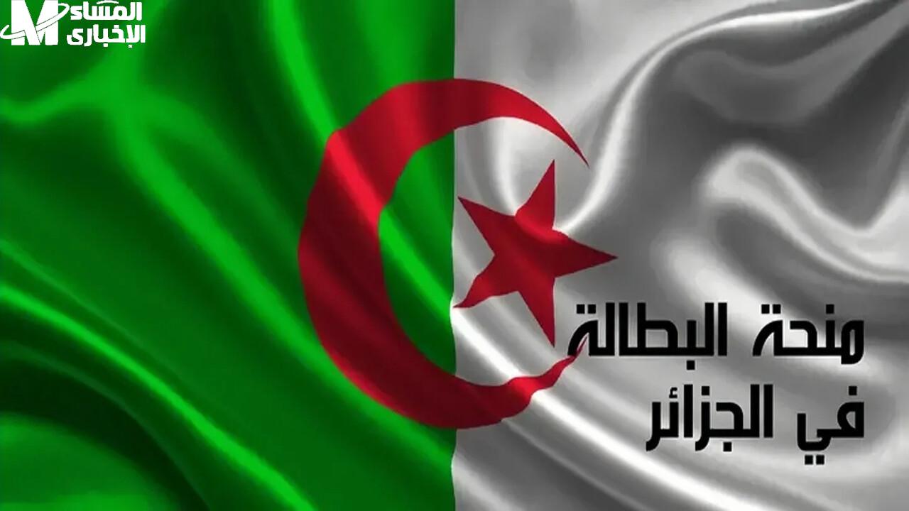 خطوات تجديد منحة البطالة الجزائر 2025