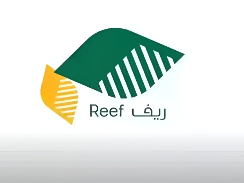 التسجيل اتفتح للمنتجين رسمي .. منصة دعم ريف فتحت الأبواب للأسر المنتجة والشروط بقت أسهل