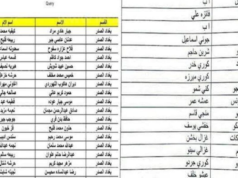 وصلت دلوقتي.. وزارة العمل توضح الاستعلام عن اسماء المشمولين بالرعاية الاجتماعية 2025 الوجبة الأخيرة