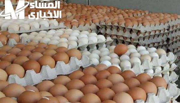 ذكاء البيض بيلف في السوق .. سعر كرتونة البيض اليوم الأثنين 19/5/2025 ارتفاع فجائي
